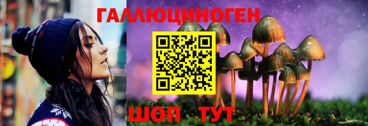Киреевск  Галлюциногенные грибы Cubensis  Вход с VPN 